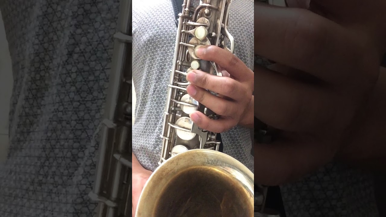 Mi Libertad - La Zenda Norte&ntilde;a🎷🔥