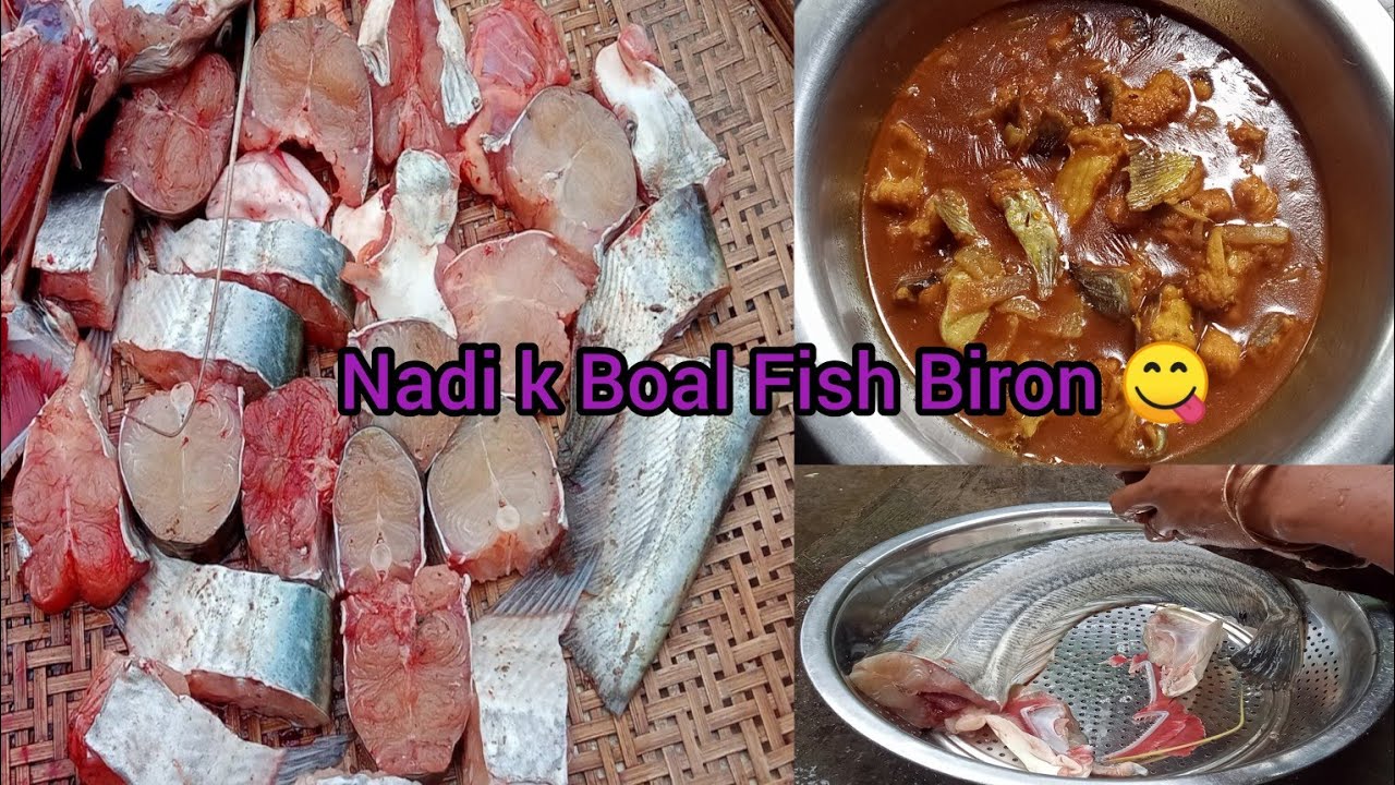 Boal Fish Curry 😋 Bengali Boal Fish Biron Recipe | Fish Recipe - YouTube