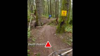 This might be my favourite trail I rode all year