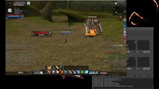 Auto Summon Animus RF Online Private Server - RF Helper