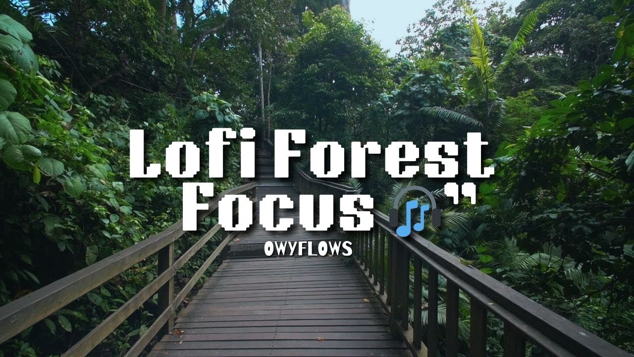 Lofi Forest Focus 🌿 | Slow Chill Beats for Studying & Work