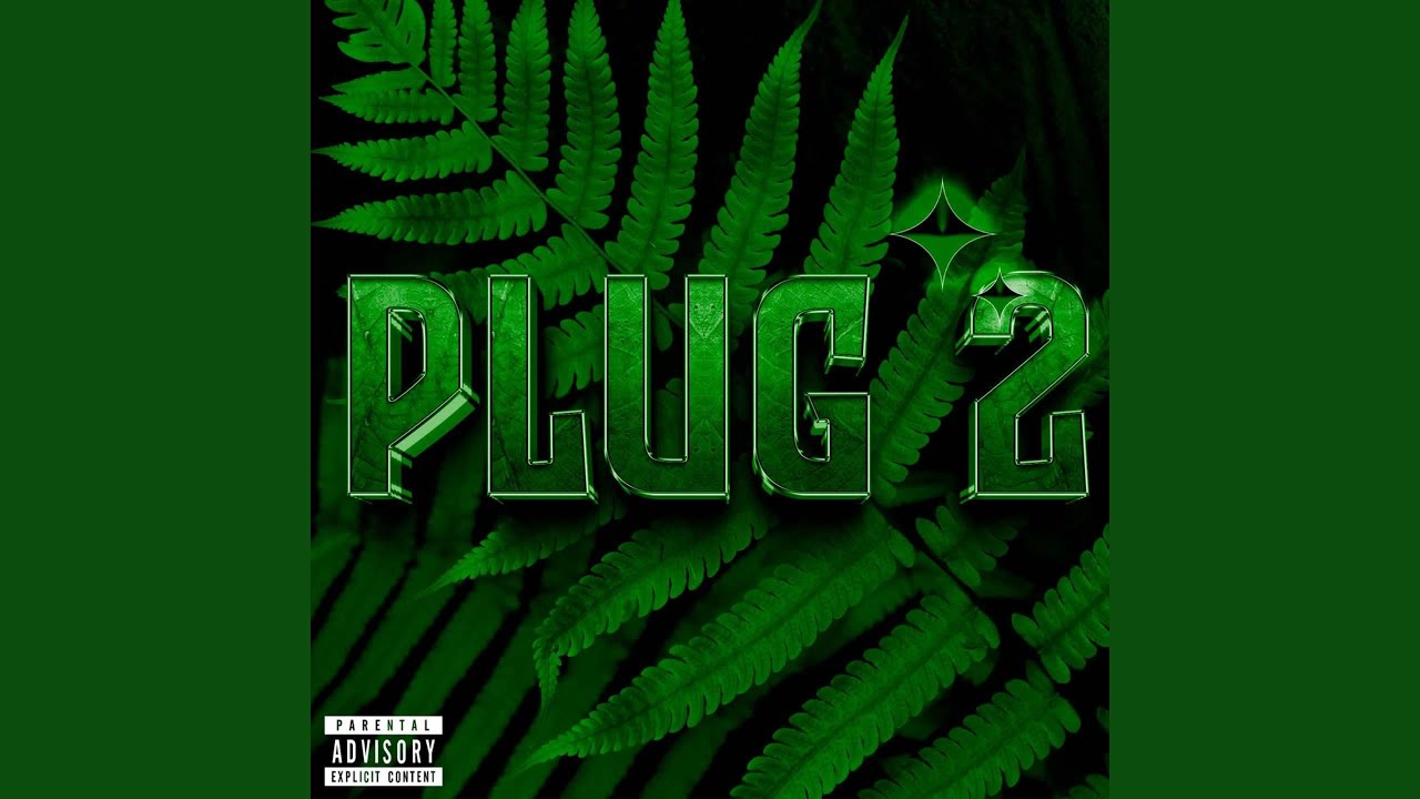 PLUG 2