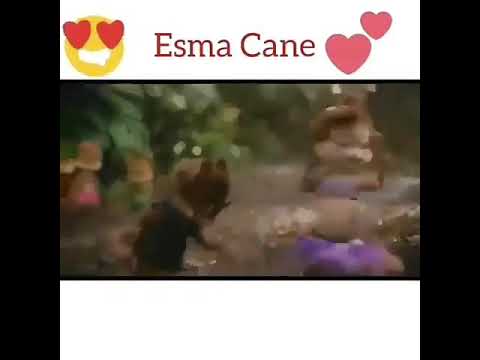 Esma cane