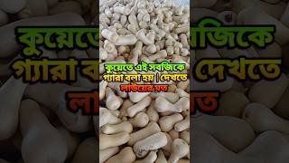 কুয়েতে এই সবজিকে বলা হয় গ্যারা | দেখতে লাউয়ের মত | #kuwait #abdali #majra #shorts #ytshorts #viral