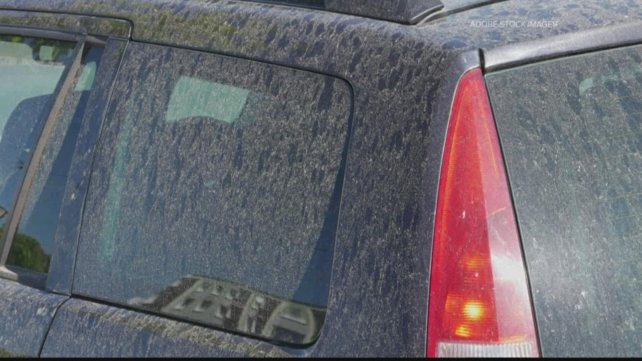 Atlanta is seeing higher pollen counts, here's how to fight springtime ...