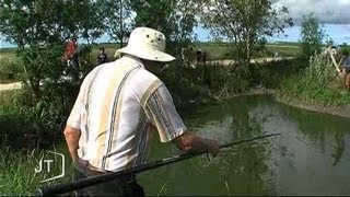 Gros succès pour la pêche à l'écrevisse (Triaize)