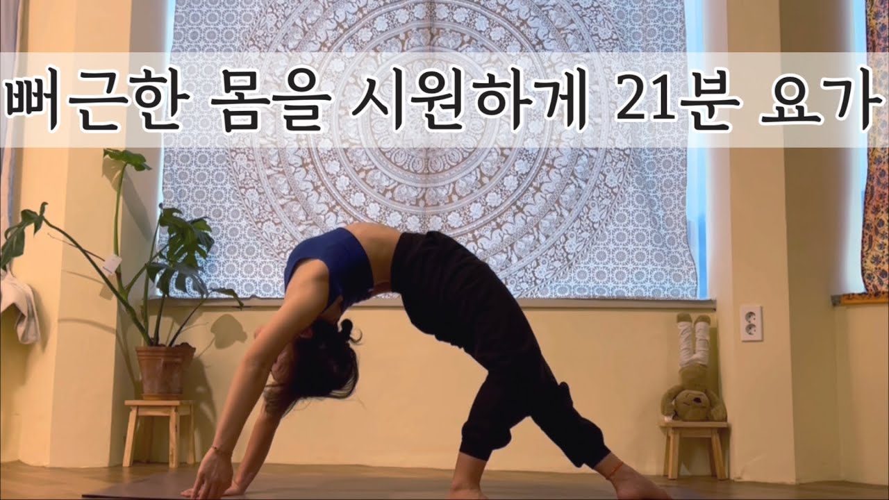 바른 자세 유지를 돕는 요가 스트레칭