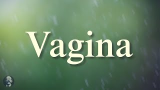 Vagina | Learn the correct pronunciation for | Learn English clearly.