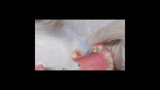 Kanin Preparasyon, 23 Numara Preparasyon Part1 Şhekimliğifakültesi