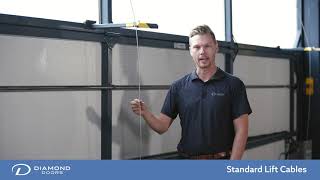 Celebrity Standard Lift Cables Wealth