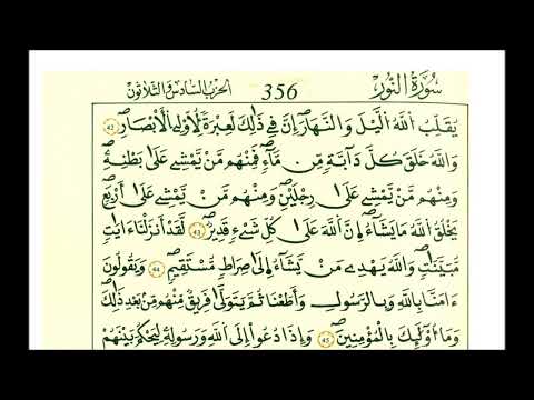 سورة النور ثمن ألم تر أن الله يزجي سحابا ثم يؤلف بينه ثم يجعله ركاما