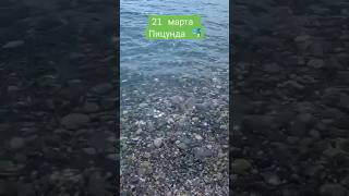 Чёрное море🐬  #подпишись #абхазия #пицунда #море #shorts #видео #пляж #погода #любовь