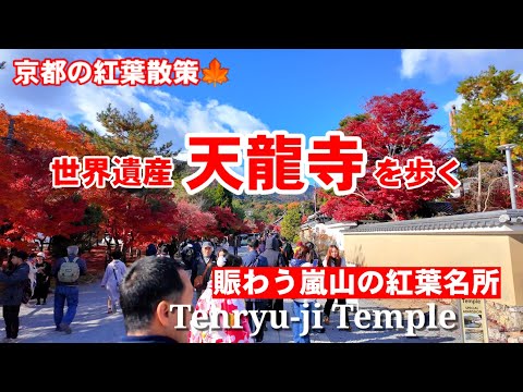 128(日)京都の紅葉散歩????紅葉で賑わう嵐山天龍寺を歩く【4K】Tenryu-ji Temple