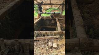 New Gem Mine💎💙💛❤ #gems #sapphire #paradiseisland #gemstone #srilanka #gem #gemcutting