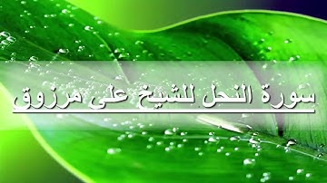 تلاوة من سورة النحل للشيخ علي مرزوق