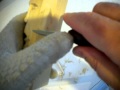 Wood Carving a Ugly Face ear for beginners Wood Carving a Ugly Face ear for beginners