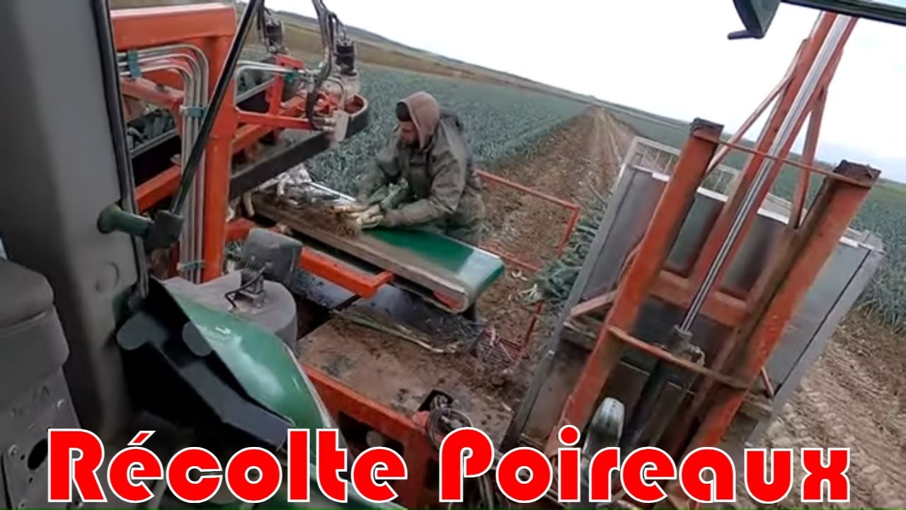 Récolte des poireaux et petite annonce ...
