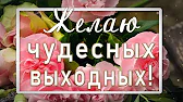 ДВЕ ДУШИ. Канал Душевных Поздравлений