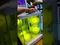 #computer