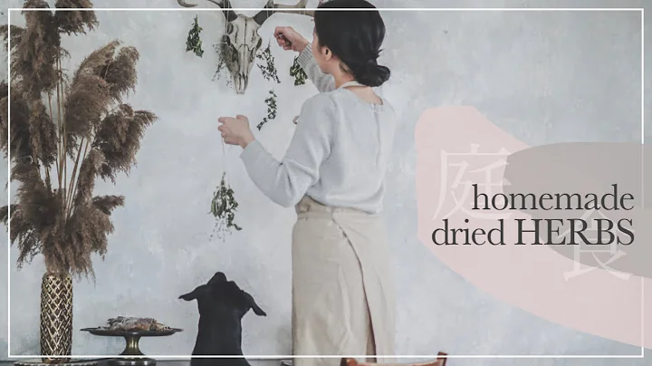 homemade DRIED HERBS | drying and storing herbs from balcony vegetable garden | calm silent vlog