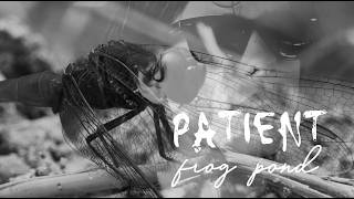 PATIENT - Frog Pond
