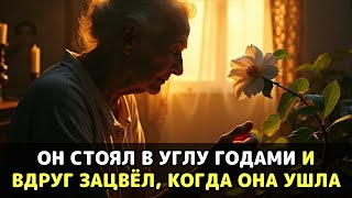 видео: Этот цветок молчал три года, а потом “сказал” ей правду, которую она не хотела знать картинка: Этот цветок молчал три года, а потом “сказал” ей правду, которую она не хотела знать