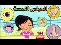 تعلم الحواس الخمسة مع تمرينات الجسم فيديو تعليمي كامل 