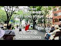 夜明けのうた夜明けの歌DawnSong仲郷香織KaoriNakasatoフラメンコの靴Acappellaオレンジペコorange pekoe flamenco original performance