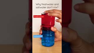 Explain why saltwater and freshwater don’t mix