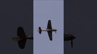 Watch This WWII Fighter Roll