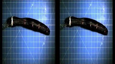 MIT: Soft Autonomous Earthworm Robot