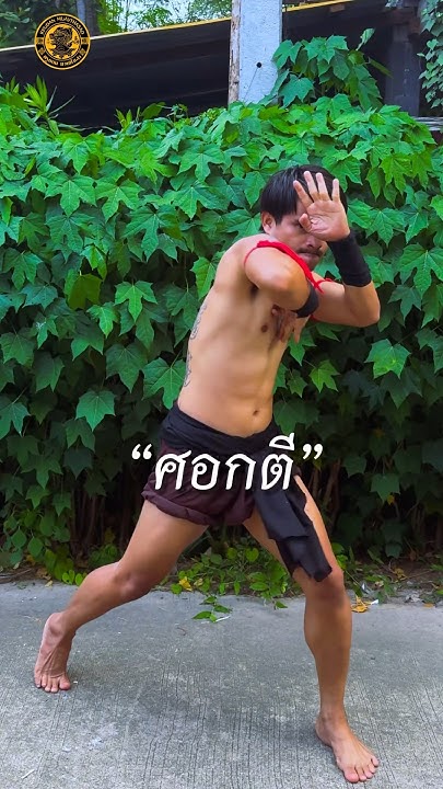 Basics Of Using Elbows In Muay Thai basics-of-using-elbows-in-muay-thai