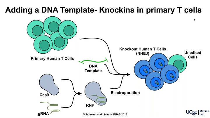 Webinar - How to use CRISPR to accelerate cancer therapies