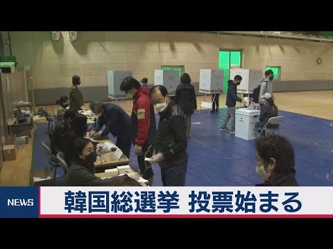 韓国総選挙　投票始まる