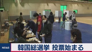 韓国総選挙　投票始まる
