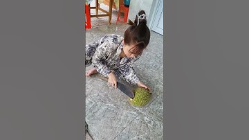 hướng dẫn ăn quả sầu riêng Thái Công ngon cực đỉnh #anhducbonsai #bonsai #shortvideo #shorts