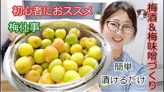 初心者さんにおススメ！！簡単漬けるだけ！！梅仕事。梅酒の作り方&梅味噌の作り方。漬けて１ヶ月で食べれる！！酸味がまろやかで夏にぴったり調味料！！