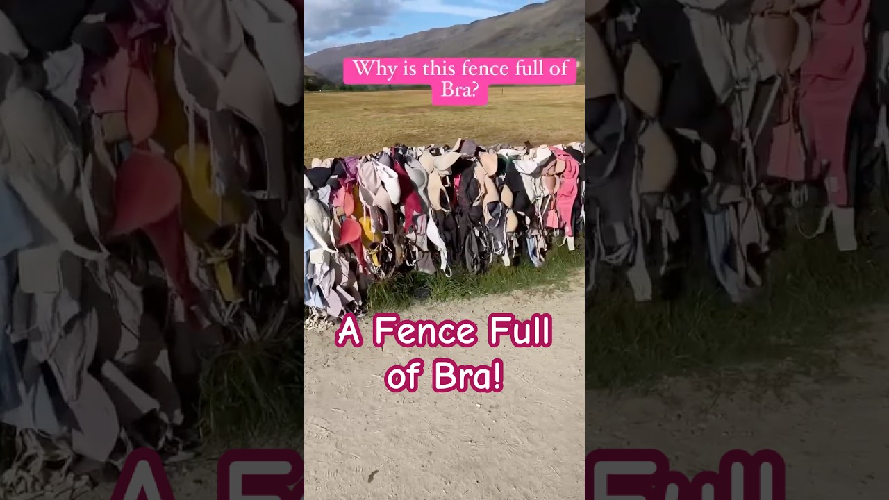 Bra Fence in Wanaka: A Unique Display in Queenstown!