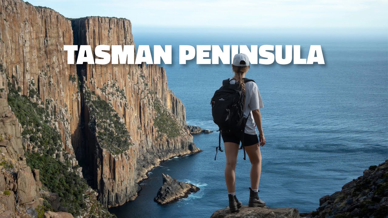 Один день на Тасманском полуострове! (Прекрасные пляжи, захватывающие походы, очаровательные дики...