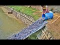 Ponds  Structure for Catfish Hatchery || Travel tride