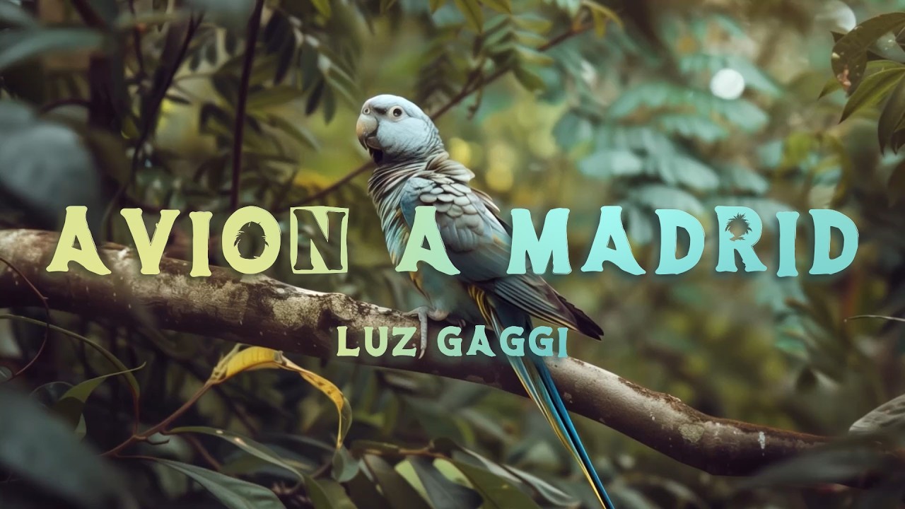 Luz Gaggi - Avión a Madrid (Letra)