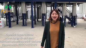 Large scale supercritical co2 extraction machine for CBD oil extraction/cannabis oil extraction