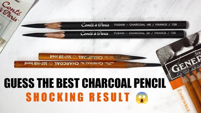 Best Charcoal pencils for Artists//Camlin, General, Derwent, Conte