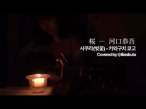 카와구치 쿄고(河口恭吾) - 사쿠라(벚꽃, 桜) Covered by 이쿠타 리라(幾田りら)