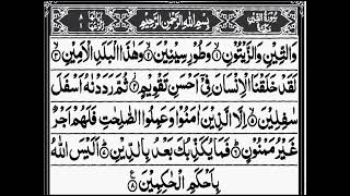 Surat at tin#viralvideo Hafiz Hamza