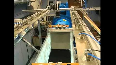 Altitude control in Drosophila