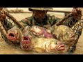 Locals Laughed At His "Primitive" Net, Until It Caught the DEADLIEST Piranha Horde