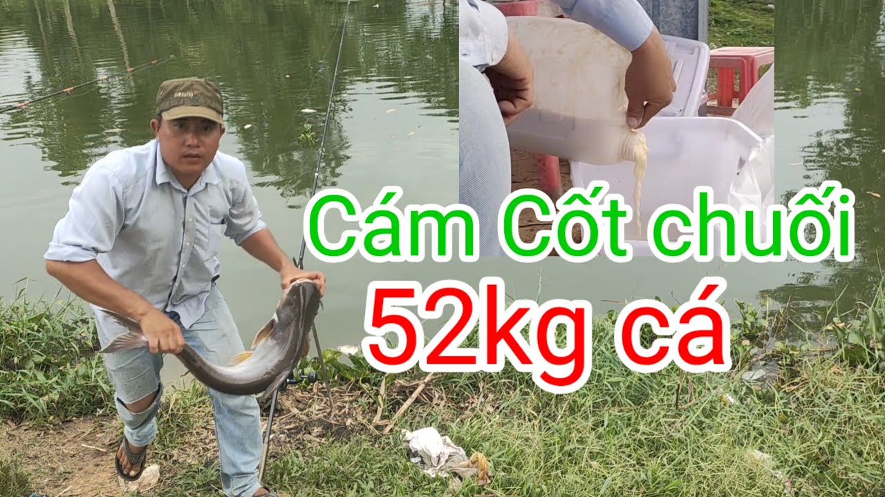 CÁM  CỐT CHUỐI CHUYÊN TRA #fishing