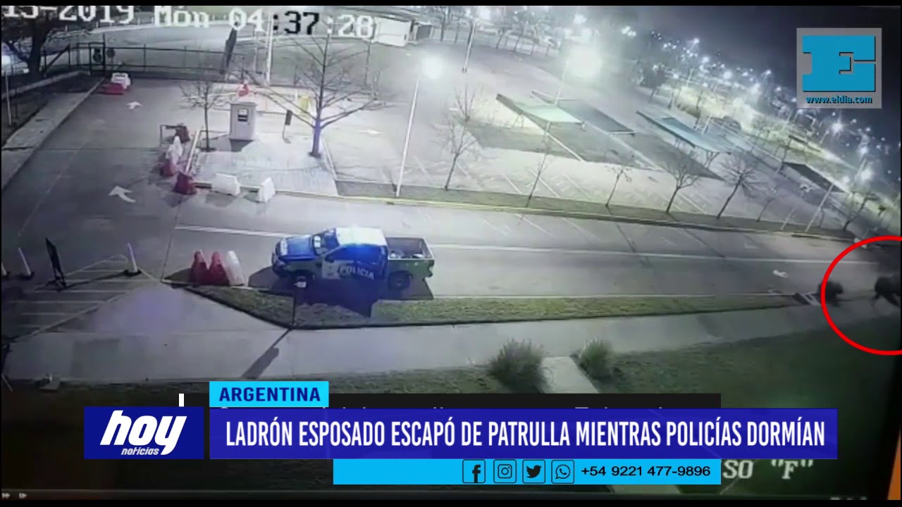 videos peruanos comicos Argentina: ladrón esposado escapó de patrulla mientras policías dormían