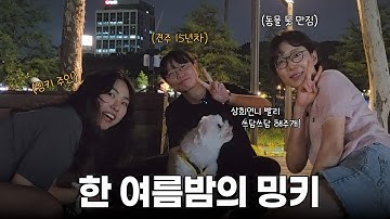 EN | 한 강아지를 키우려면 | The Funniest Walk with Mingki & three of us